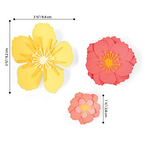 Sizzix Thinlits Die Set 7 Pack , Floral Blossom by Jen Long Cutting dies, Multicolor - Image 4