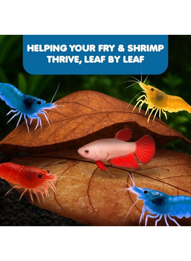 SunGrow Catappa Indian Almond Leaves, 7-8 Inches,10 Catappa Leaves for Betta Fish, Aquarium Water Conditioner, Tank Decoration, Freshwater Tank Accessories, Betta Fish Care, Aquatic Leaf Litter - Image 5