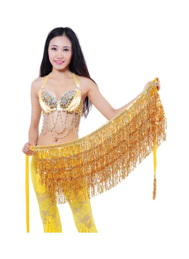 xozgdovg - Belly Dance Dancer Costume Sequins Tassels Fringes Hip Scarf Belt Waist Skirt 20 x 10 x 20cm - Image 1