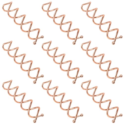 TUUXI 10 pcs Spiral Bobby Hair Pins Rose Gold Hair Screws Hair Twister Alloy Hair Accessories for Women Fast Bun Thick Hair Style - Image 2