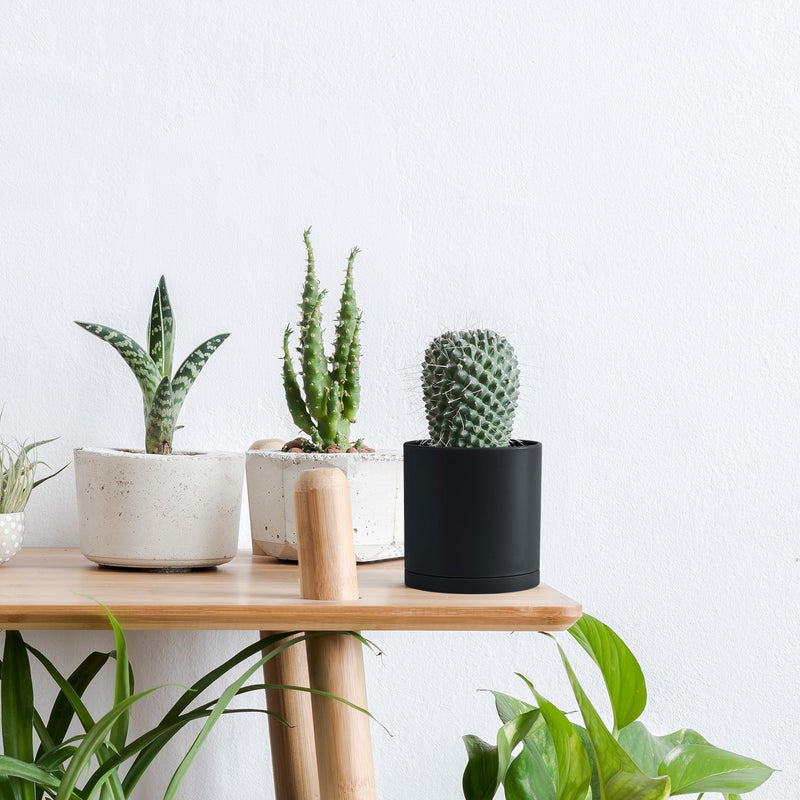 D'vine Dev 4 Pack 4 Inch Modern Plastic Plant Pots, Small Garden Planters for Plant with Drainage Holes and Saucers, Black Color, 74-Y-E-2 - Image 5
