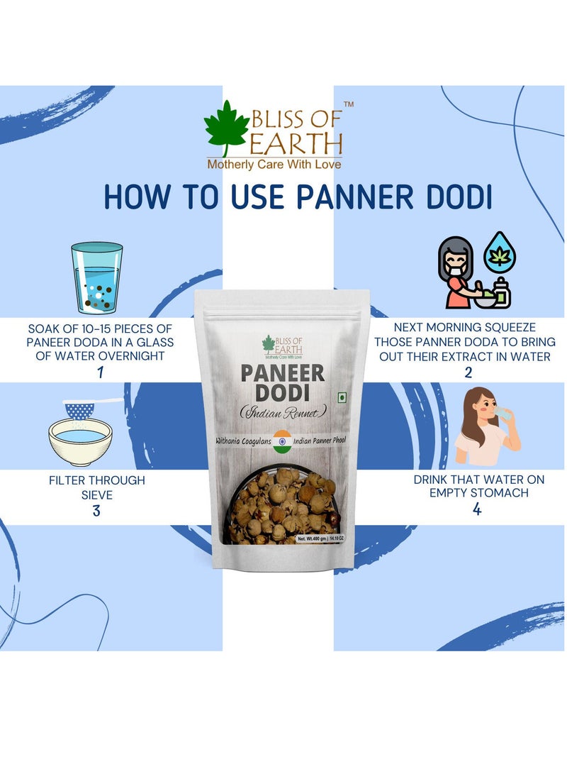 Bliss of Earth 14.10 oz Paneer Doda(Indian Rennet) For Diabetes, Paneer Phool, Withania Coagulans Ayurveda Herb Good for Health 400GM - Image 3