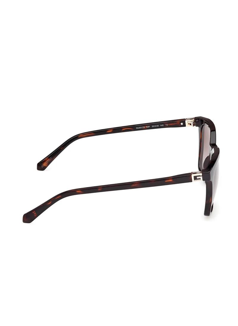 جس Injected Shaped Sunglasses