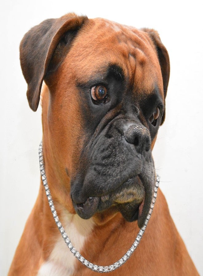 Halukakah Dog Collar Diamond Tennis Chain - Elite - Platinum Plated,Luxurious Diamond Handset and 6MM Thick,Size 18" with a Designer Goldfoil Giftbox,for Decoration Only - Image 3