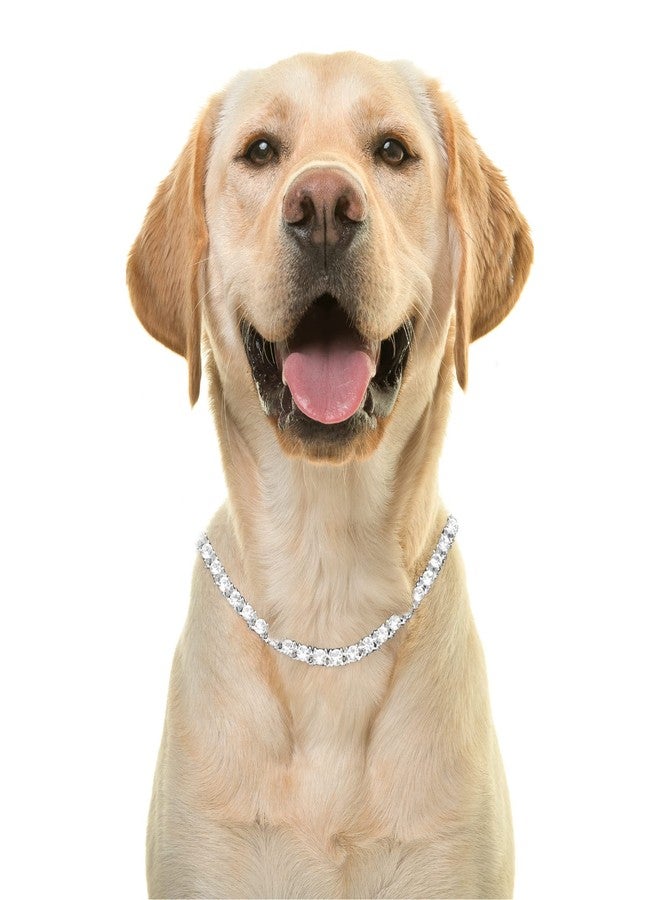 Halukakah Dog Collar Diamond Tennis Chain - Elite - Platinum Plated,Luxurious Diamond Handset and 6MM Thick,Size 18" with a Designer Goldfoil Giftbox,for Decoration Only - Image 1