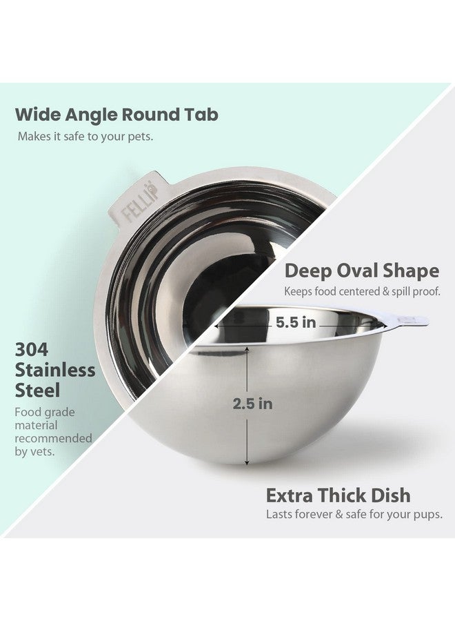 فيلي أوعية طعام مرتفعة من فيلي أوبليك للحيوانات الأليفة للكلاب الصغيرة قصيرة الأرجل، طبق من الفولاذ المقاوم للصدأ غير قابل للانسكاب، سهل التنظيف في غسالة الأطباق، وعاء طعام مرتفع بزاوية مناسبة للبولدوغ والفرنشي وقطط مين كون (1.5 كوب، كلاسيكي) - Image 3