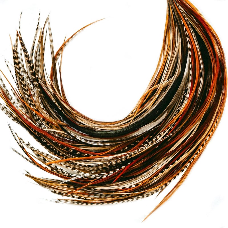 21 Natural Color Hair Feathers  9 14 Long  Feathers for Hair Extension  DIY Kit  EyeCatching Design  20 Microlink Beads  100 Real Rooster Feathers  Professional Color Hair Feathers