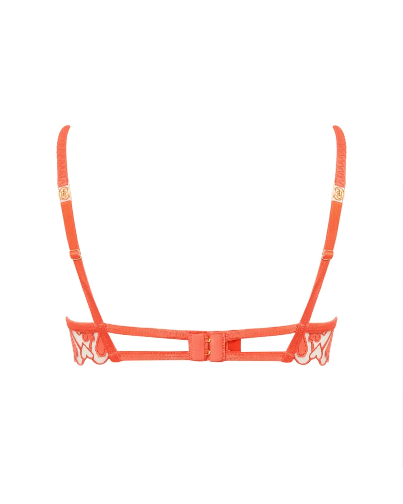 BLUEBELLA Strappy Mesh Detail Wired Bra