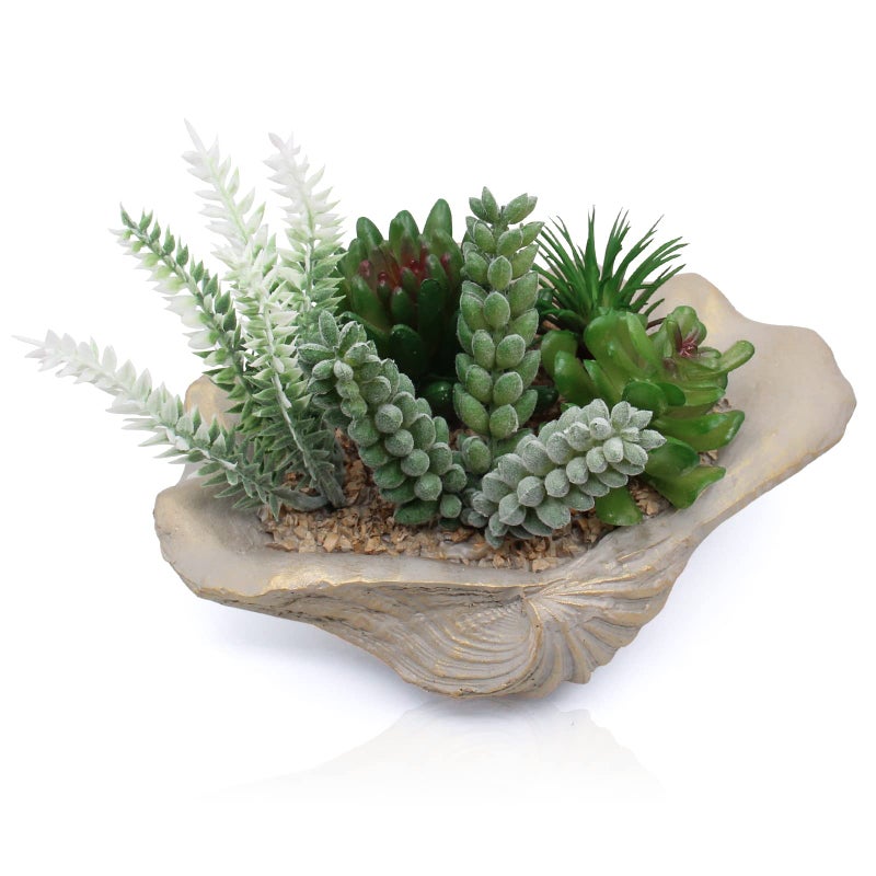 Accessoryway Resin Seashell Bowl Decor with Faux Succulents Coastal Beach Decorations for Home Bathroom Decor Series Home Beach Seashell Decor Theme Party Favors Without Drainage Hole