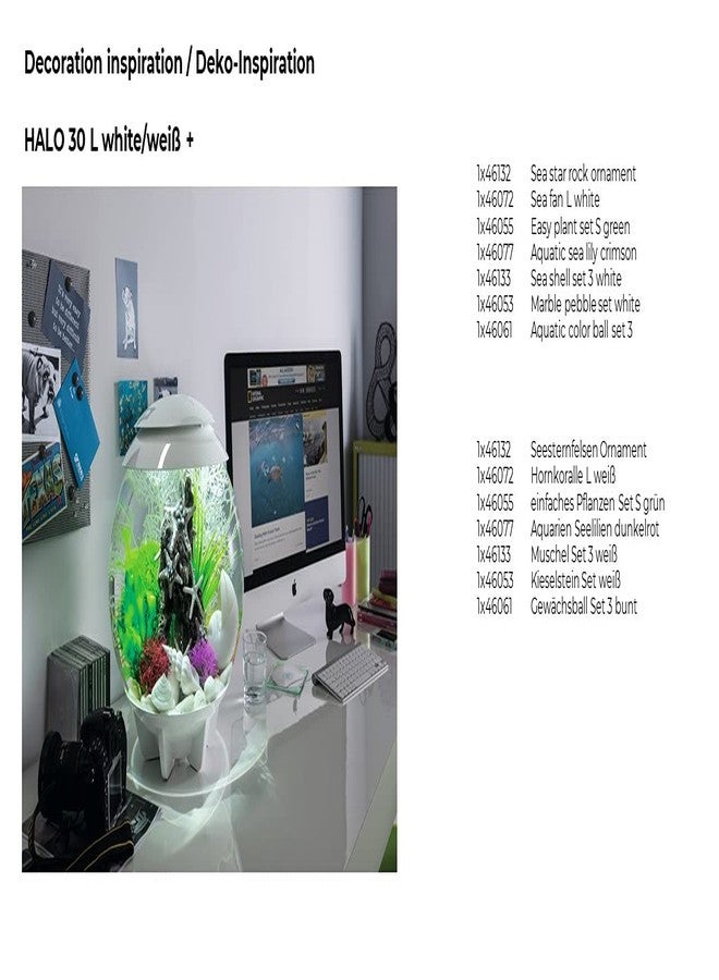 biOrb مجموعة أصداف بحرية بيضاء من BiOrb 46133.0 لأحواض السمك - Image 4