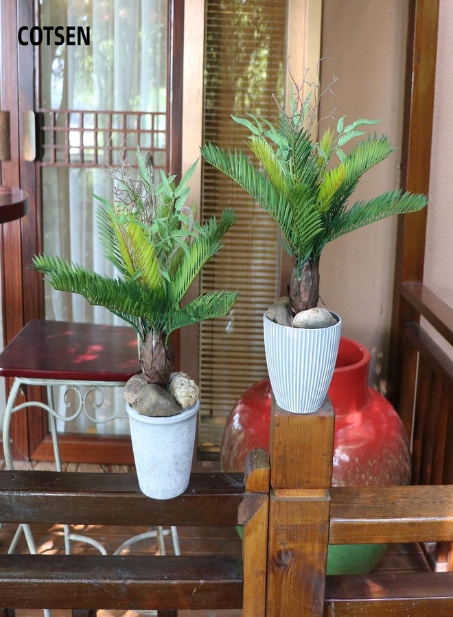 COTSEN 2 Pcs Artificial Cycad Plants 13.8 inch Artificial Succulents Fake Succulents Unpotted for Family Office Decor - Image 2