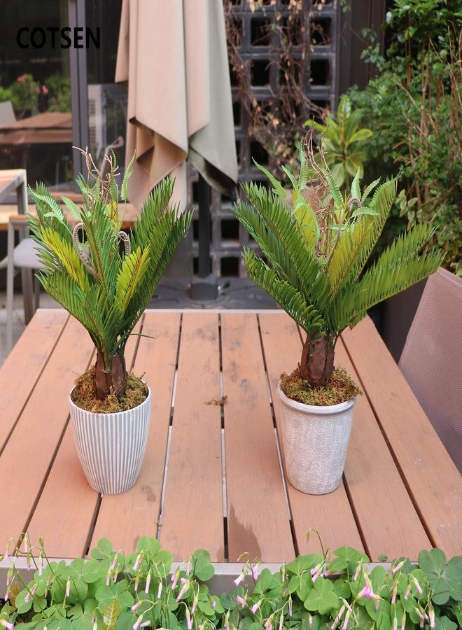 COTSEN 2 Pcs Artificial Cycad Plants 13.8 inch Artificial Succulents Fake Succulents Unpotted for Family Office Decor - Image 4