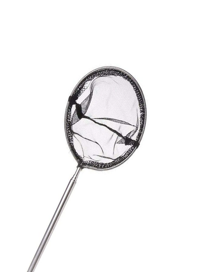 XMHF Self-Provided Small Fish Tank Fishing Net. with Extendable 9.1-20.9In Long Handle Stainless Safe Small Fish Net - Image 2