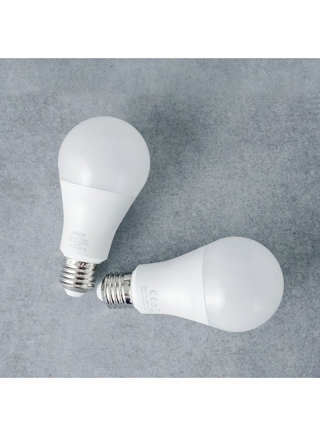 Danube Home Milano LED Bulb 2Pcs Set 15W E-27 6500K | Light Bulbs Energy Saving Lamp For Living Room Bedroom Dining Room Offices - Image 2