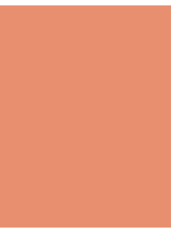 flormar Blush On – 104 Peachy Pink – Buildable, Blendable, Radiant Finish, Soft, High Pigment - Image 4