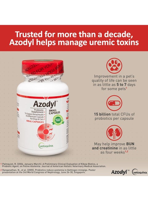 Which Probiotics Support Kidney Health in Cats Azodyl Or Proviable: Ultimate Guide