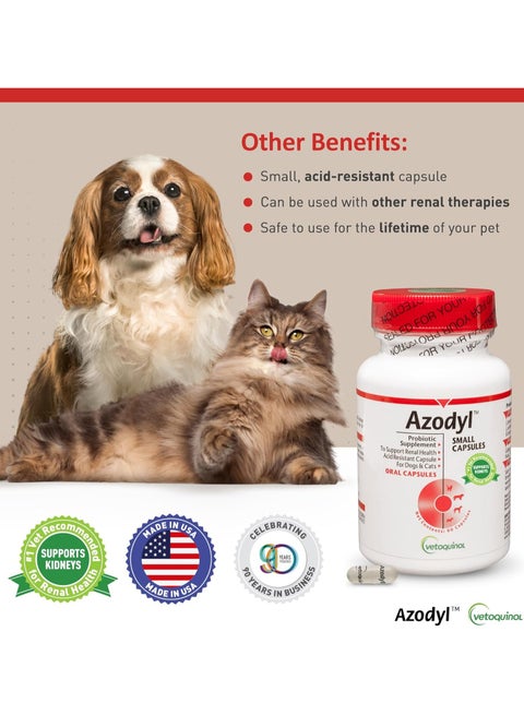 Which Probiotics Support Kidney Health in Cats Azodyl Or Proviable: Ultimate Guide