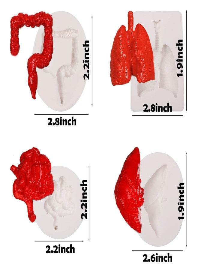 Xcake Lcook Human Organs Silicone Molds 8 Pcs for Halloween, Heart Brain Liver Intestinal Stomach Chocolate Fondant Molds for Cake Decoration Pudding Jelly Candy Dessert - Image 2