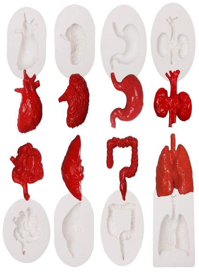 Xcake Lcook Human Organs Silicone Molds 8 Pcs for Halloween, Heart Brain Liver Intestinal Stomach Chocolate Fondant Molds for Cake Decoration Pudding Jelly Candy Dessert - Image 1
