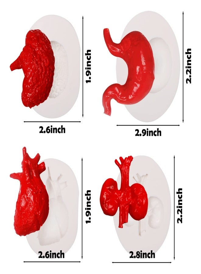 Xcake Lcook Human Organs Silicone Molds 8 Pcs for Halloween, Heart Brain Liver Intestinal Stomach Chocolate Fondant Molds for Cake Decoration Pudding Jelly Candy Dessert - Image 3