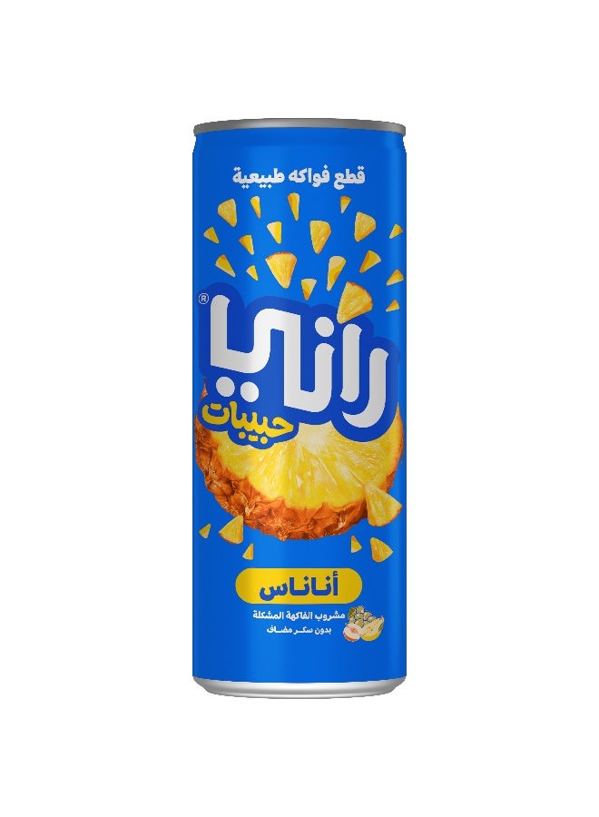 Rani عصير أناناس راني مع ف float، بدون سكر مضاف 240 مل في علبة × 24 عبوة - Image 4