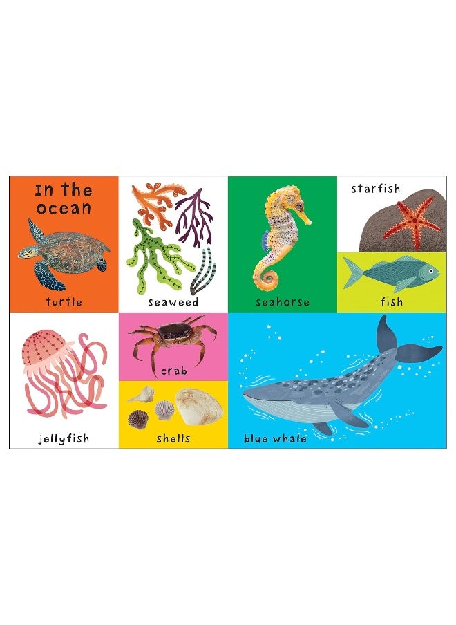 First 100 Nature Words