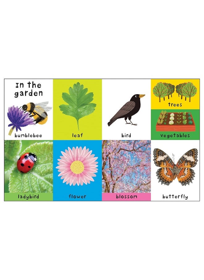 First 100 Nature Words