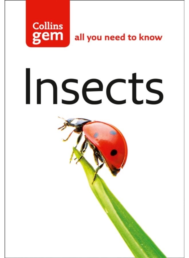 Insects - Paperback