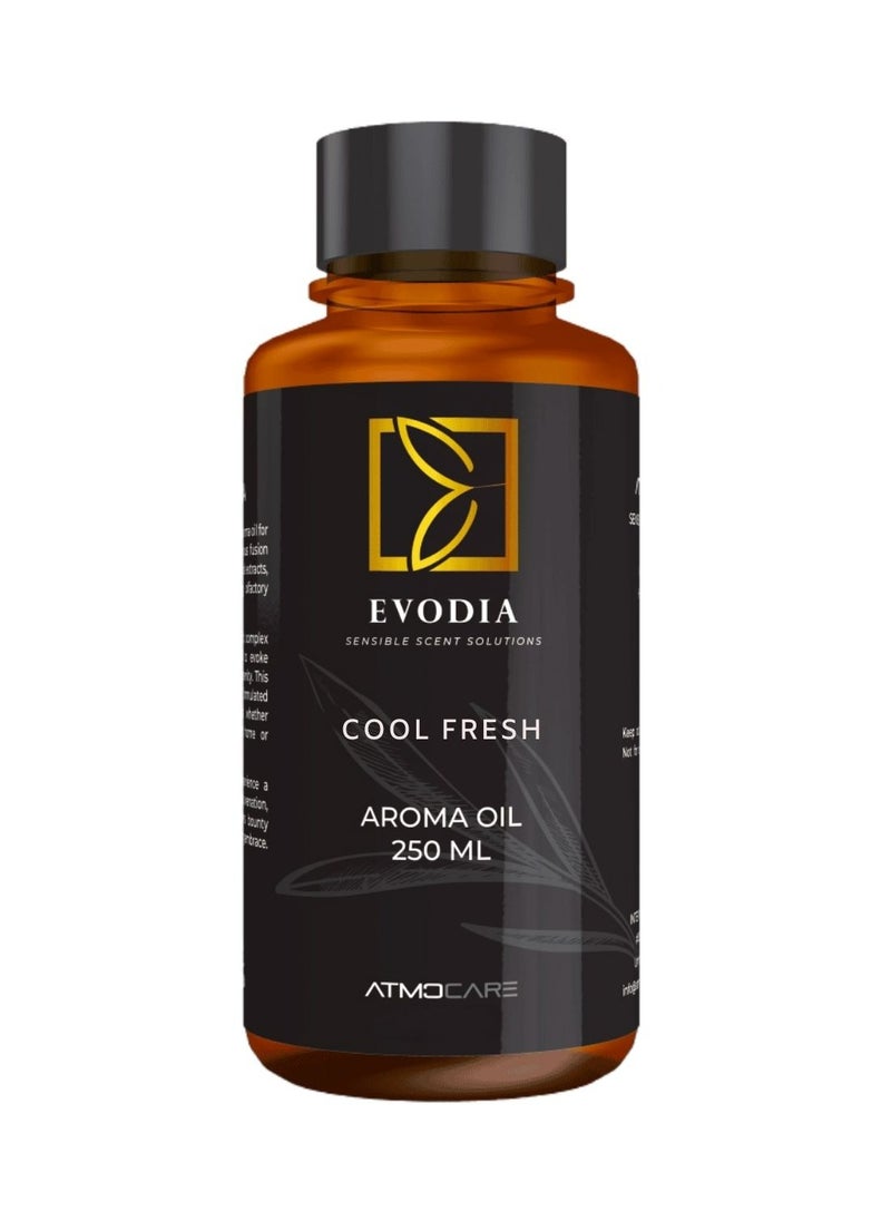 Fragrance Oils Diffuser - COOL FRESH 250ML - pzsku/Z8274B2CBA672FD0F8F96Z/45/_/1717403097/46acf763-02b5-4050-8a88-3784ed4f19e6