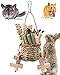 Bissap Rabbit Chew Toys Natural Seagrass Hanging Basket Chews Water Plant Woven Bunny Chewing Treats for Guinea Pigs Chinchillas Hamsters Rats and Other Small Pets Teeth Grinding Toy - Image 3