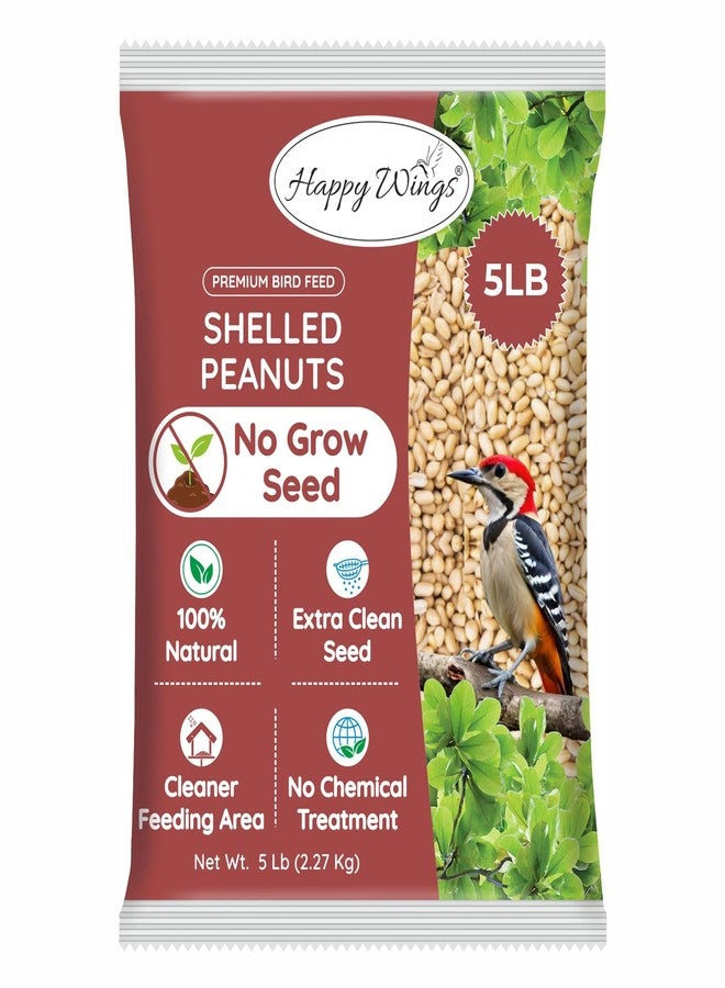 Happy Wings Peanut Seeds Shelled Wild Bird Food - 5 Pounds I Uncultivated Seeds I Wild Bird Seeds - Image 1