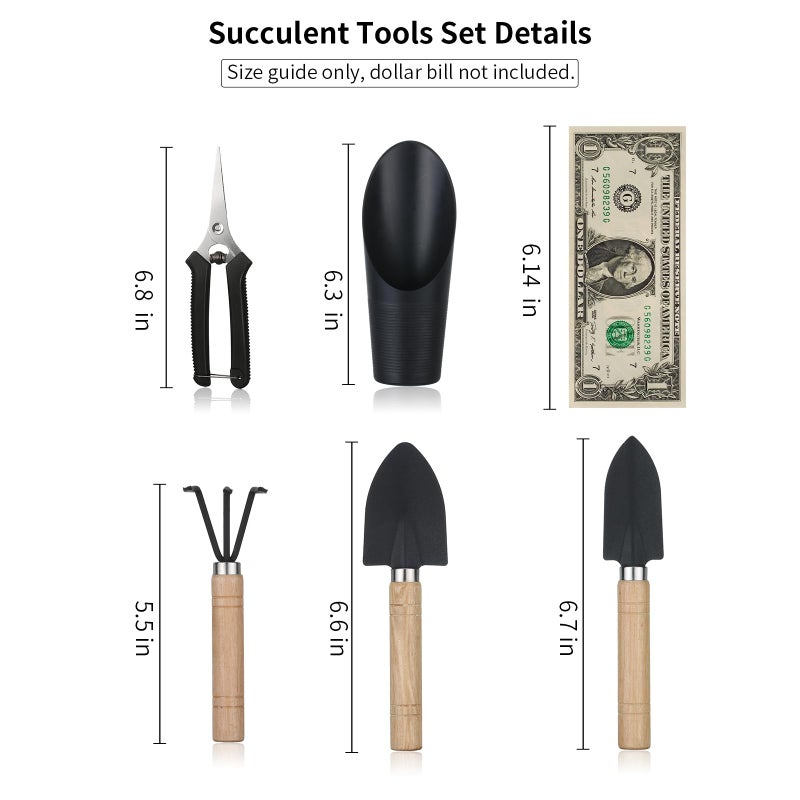 Songtaste 5Pcs Succulent Tools,Mini Garden Tools,Pruning Scissors as Plant Accessories, Gardending Hand Tools Kit for Seedling Soil,Caring Succulent,Houseplent,Bonsi,Gifts for Woman and Man - Image 2