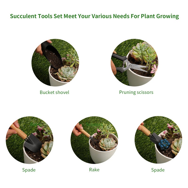 Songtaste 5Pcs Succulent Tools,Mini Garden Tools,Pruning Scissors as Plant Accessories, Gardending Hand Tools Kit for Seedling Soil,Caring Succulent,Houseplent,Bonsi,Gifts for Woman and Man - Image 3