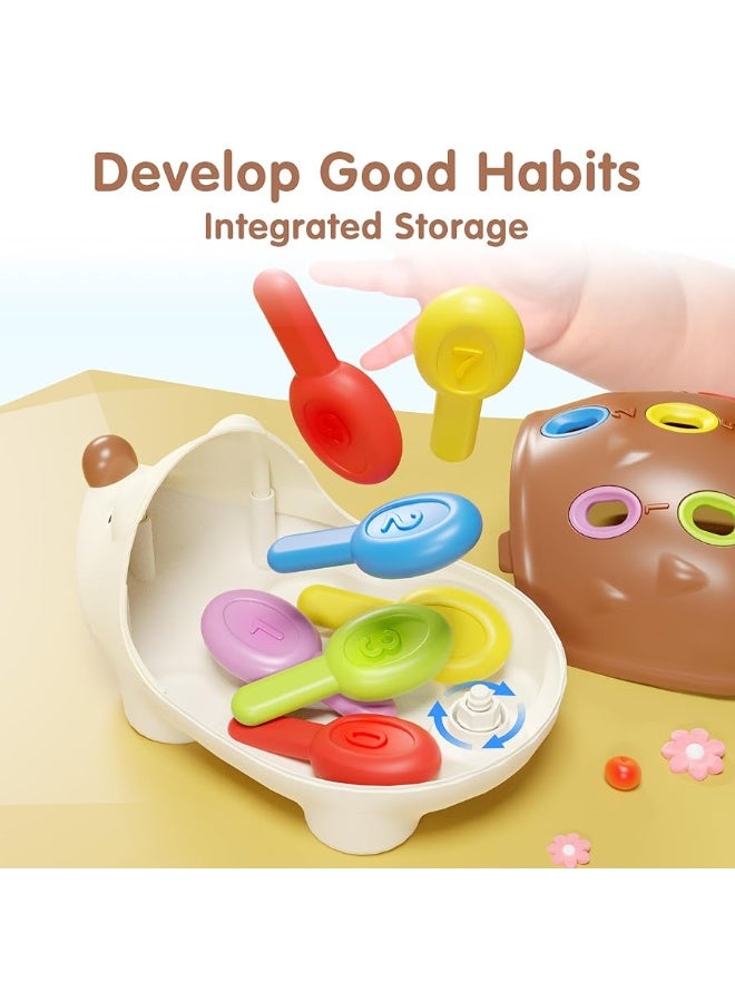 iLearn ألعاب iPlay، iLearn لتطوير المهارات الحركية الدقيقة للأطفال من 1-3 سنوات، لعبة تعليمية عدّ وفرز على شكل قنفذ من مونتيسوري، هدايا حسية للأطفال من 6 9 10 12 18 شهر، للأطفال من 1 2 3 سنوات، الأولاد والبنات - Image 3