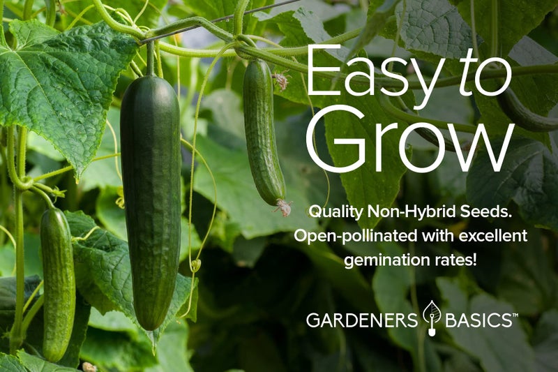 Gardeners Basics, Cucumber Seeds for Planting Outdoors 8 Variety Pack Burpless Tendergreen, Beit Alpha, Marketmore 76, Armenian, Boston Pickling, Lemon, Spacemaster, Straight Eight Veggie Seeds - Image 5