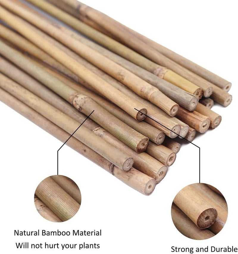 LINGWEI Natural Bamboo Poles - Strong Bamboo Stakes for Plant Support (60cm, 100cm, 120cm) | Durable Gardening Sticks for Indoor & Outdoor Use (60cm (2pcs)) - Image 5