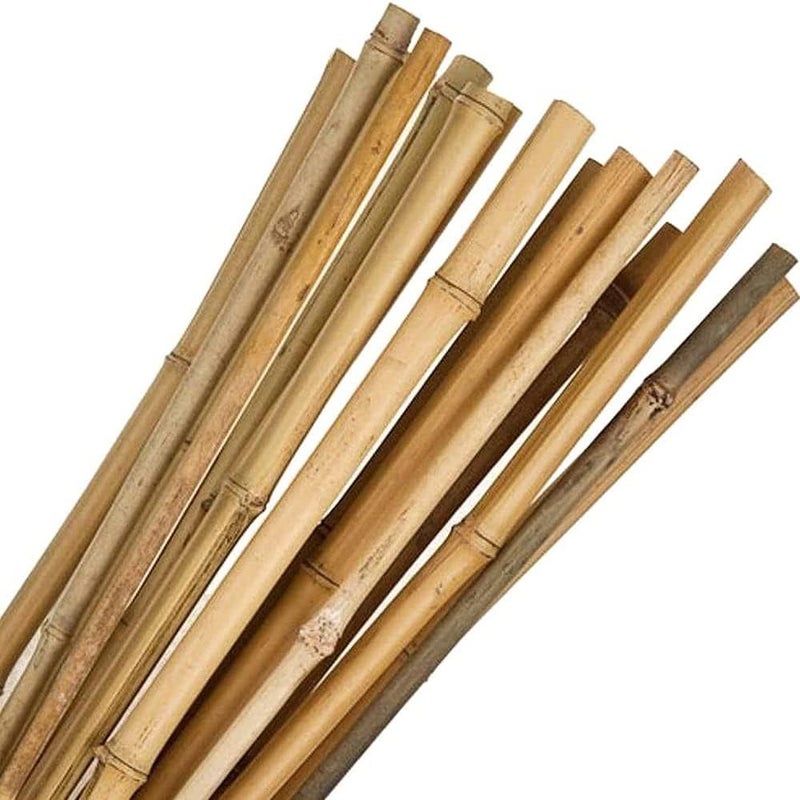 LINGWEI Natural Bamboo Poles - Strong Bamboo Stakes for Plant Support (60cm, 100cm, 120cm) | Durable Gardening Sticks for Indoor & Outdoor Use (60cm (2pcs)) - Image 4