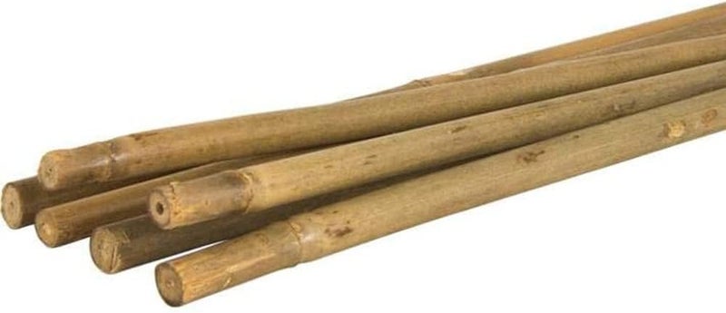 LINGWEI Natural Bamboo Poles - Strong Bamboo Stakes for Plant Support (60cm, 100cm, 120cm) | Durable Gardening Sticks for Indoor & Outdoor Use (60cm (2pcs)) - Image 1