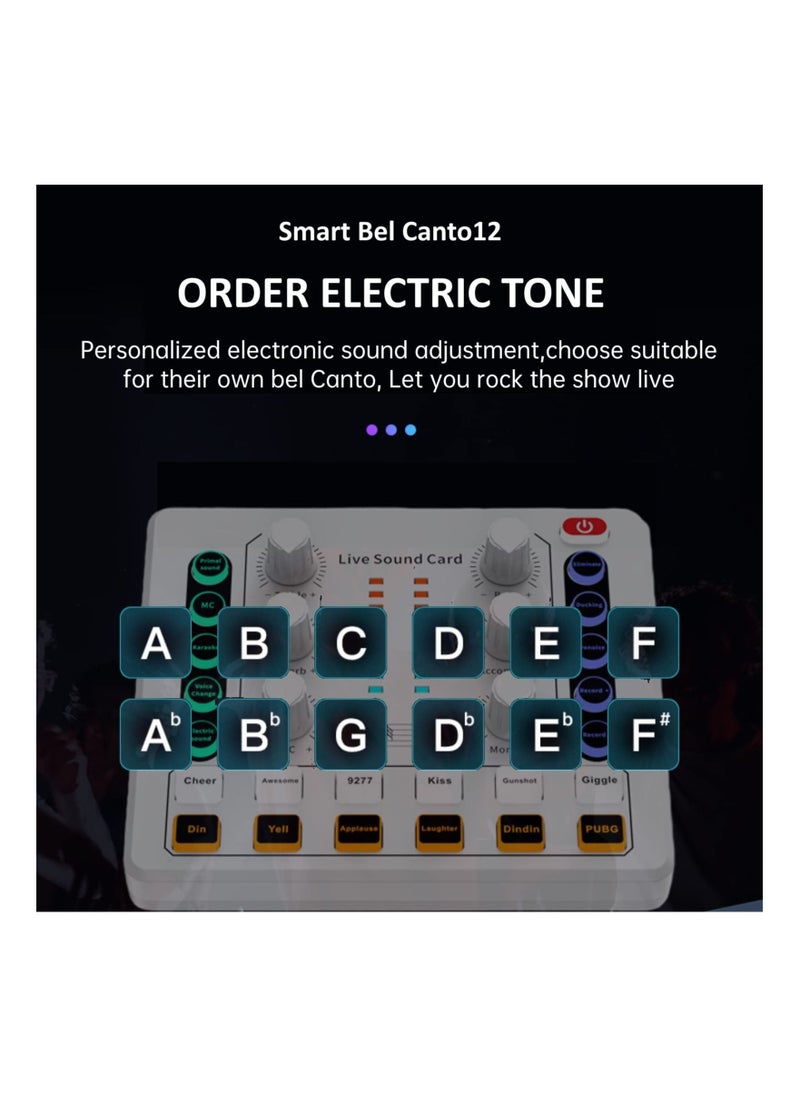 Arabest - Live Sound Card, Mini Audio Mixer Board for PC Computer Phone, Voice Changer Sound Card Fit for PS4, Xbox, Switch, DJ Mixer, Podcast for Music Recording Karaoke Singing Broadcast, Recording Card - Image 1