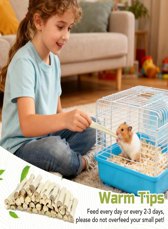 StyEdEk 2.2Lb/1000g Natural Sweet Bamboo Chew Toys Chew Sticks Bamboo Sticks Teething Toy for Rabbit, Bunny, Guinea Pig, Hamster, Chinchilla, Bunny, Rat and Other Small Animals - Image 5
