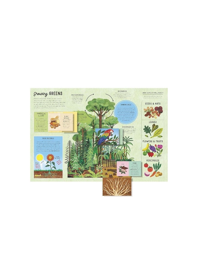 The Lift-the-Flap Encyclopaedia of Planet Earth: 200 Flaps to Explore! - Image 3