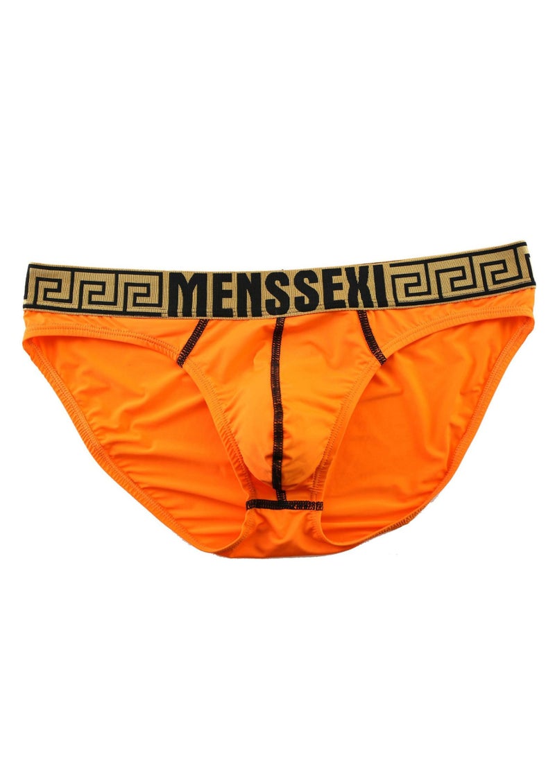 Charming Ice-Shredded Brief Orange - pzsku/Z827F9E3126D46D3462DBZ/45/_/1671015361/1d3e58ce-acbd-4744-baff-ae2781eab2cf