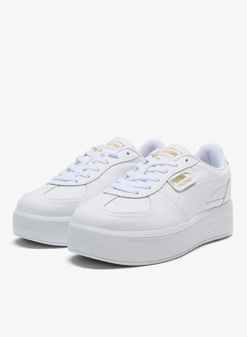 بوما باليرمو إليفاتا إل ث