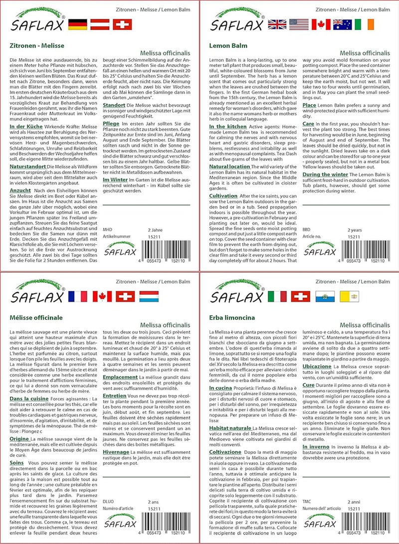 GGOOT Lemon Balm - 150 Seeds - Melissa officinalis - Image 3