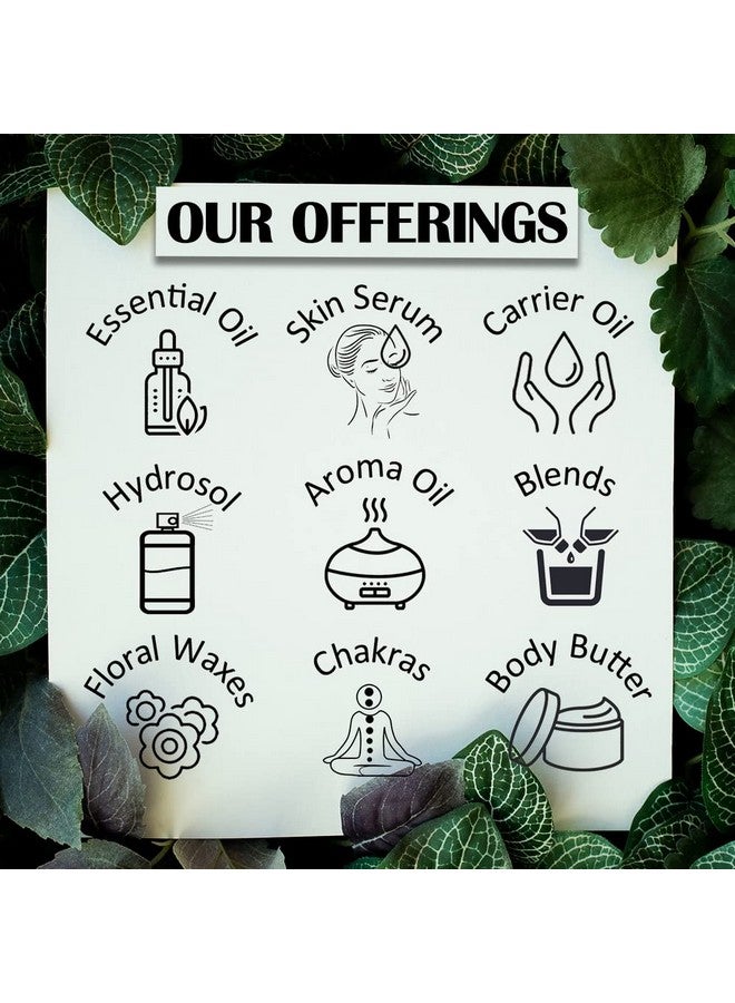 Deve Herbes Fir balsam Essential Oil (Abies balsamea) Pure | Non-Sticky | Non-greasy | Lightweight | Men & Women | All Skin Types | Steam Distilled 15ml - Image 5