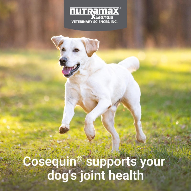 Nutramax Laboratories Nutramax Cosequin for Dogs Joint Health Supplement, Contains Glucosamine for Dogs, Plus Chondroitin and MSM, Supports Healthy Joints, For All Breeds and Sizes, Chewable Tablets, 132 Count - Image 3