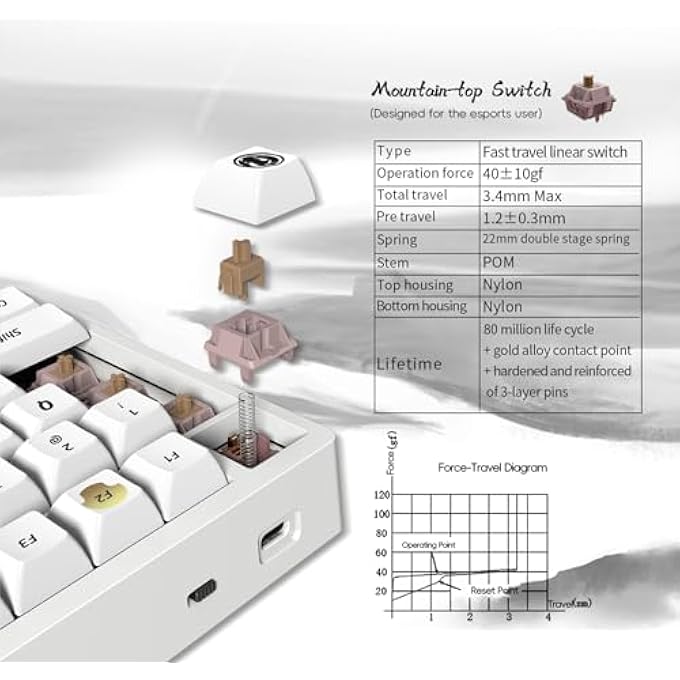 rayihni IG 98 CO-BRANDED MECHANICAL GAMING KEYBOARD, WIRELESS THREE MODES WIRED HOT SWAPPABLE/BLUETOOTH/2.4G KEYBOARD WITH RGB LIGHT FOR WINDOWS AND MAC, PBT KEYCAPS (PART - Image 2