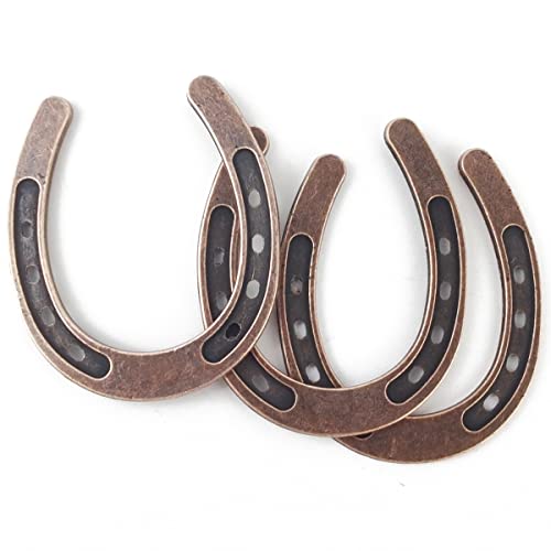NSBELL 10PCS Lucky Horseshoe Wedding Favors with Kraft Tag, Vintage Metal Mini Horseshoe Decorations for Rustic Wedding Birthday Party Decorations - Image 5