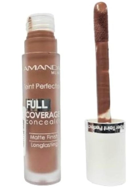 Teint Perfection Full Coverage Concealer 07