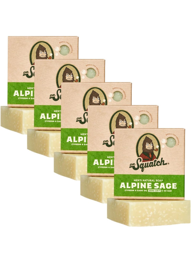 Dr. Squatch Dr Squatch Mens Natural Bar Soap  Alpine Sage 5 Pack  Smell like a Warm Mountain Breeze 
